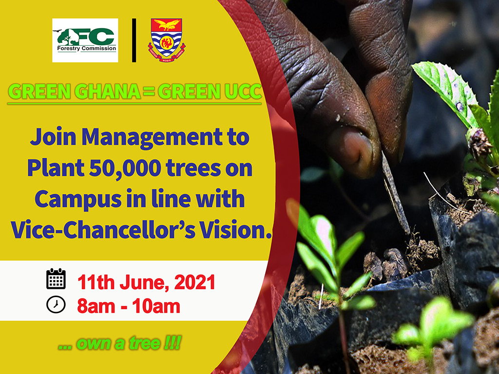 UCC Tree Planting Exercise Tree Planting Exercise