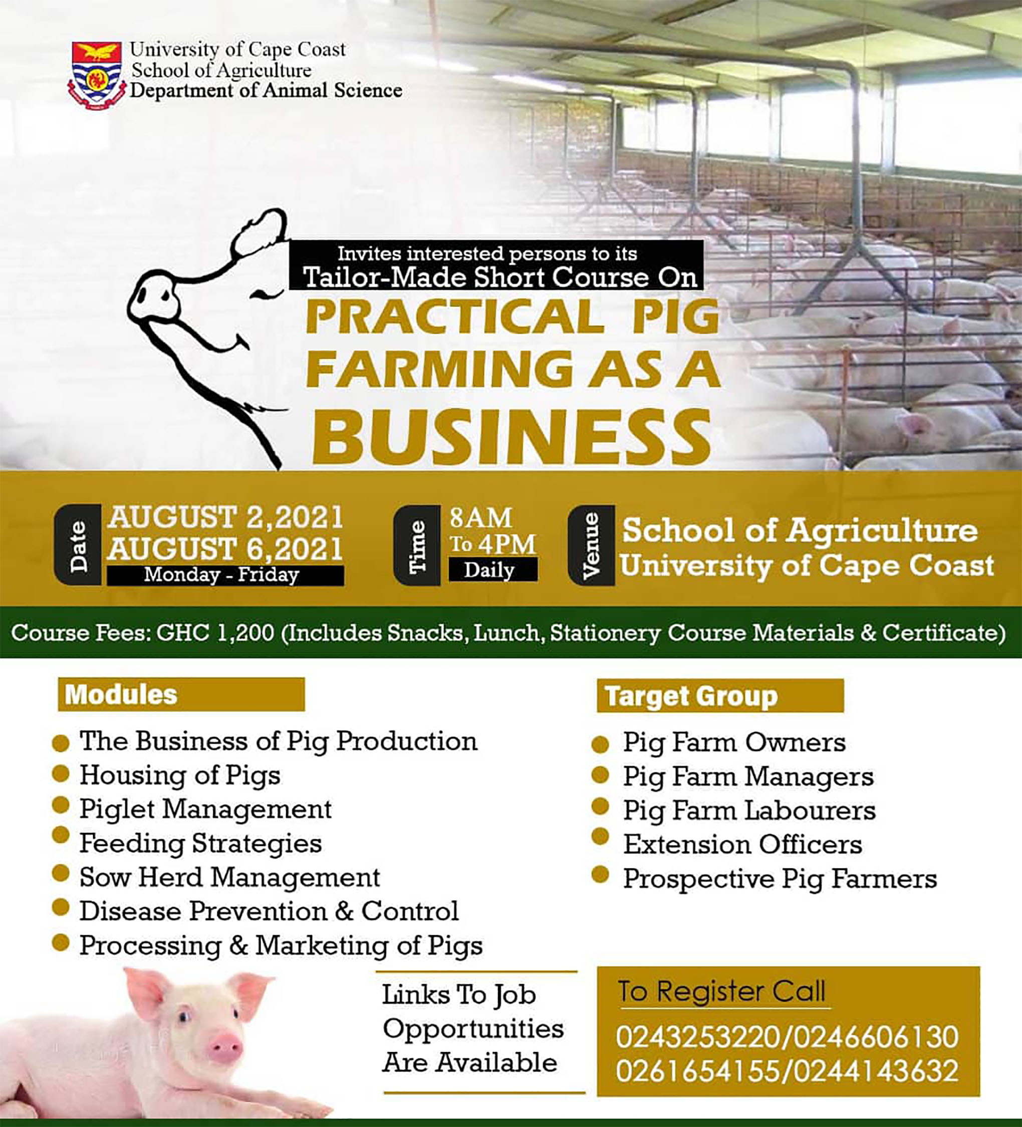 Practical Pig Farming as a Business pig farming
