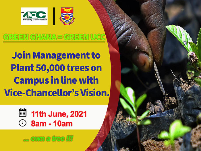 UCC Tree Planting Exercise Tree Planting Exercise