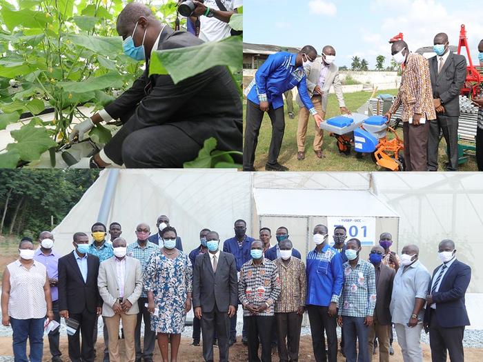 Harvesting of First Fruit and donation