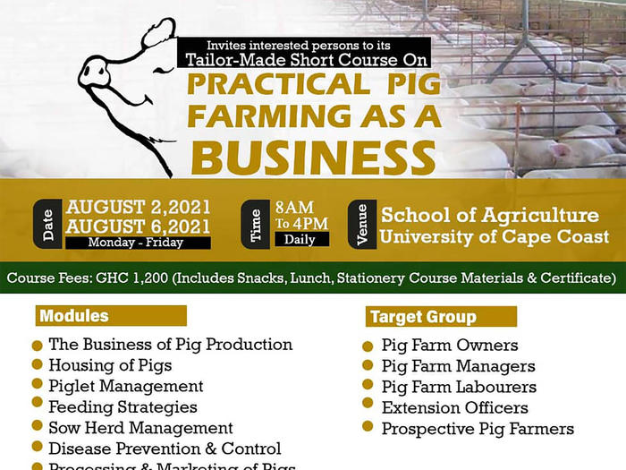 Practical Pig Farming as a Business pig farming