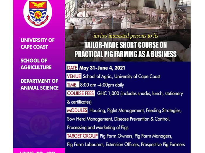 Tailor Made Short Course On Practical Pig Farming As A Business Tailor Made Short Course On Practical Pig Farming As A Business